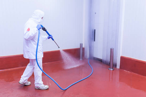 Best Building Exterior Washing  in Gordon Heights, NY